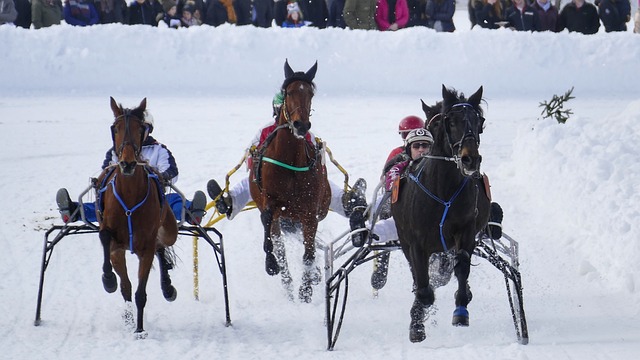 再加上顽强 再加上顽强