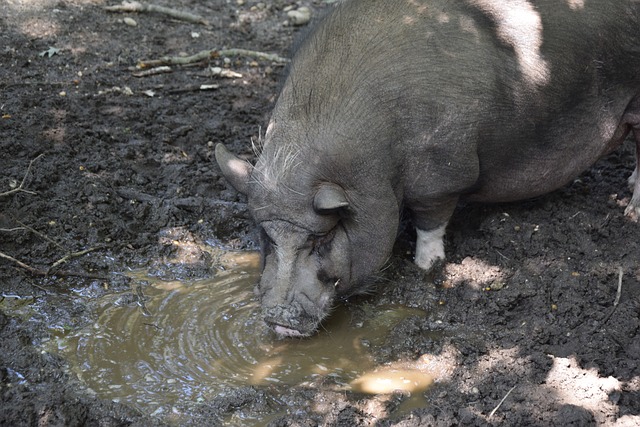 反映了球队 反映了球队