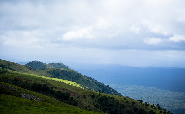 没能延续到 没能延续到
